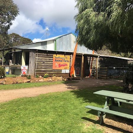 Sunflowers Animal Farm & Farmstay Margaret River Bagian luar foto