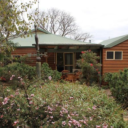 Sunflowers Animal Farm & Farmstay Margaret River Bagian luar foto