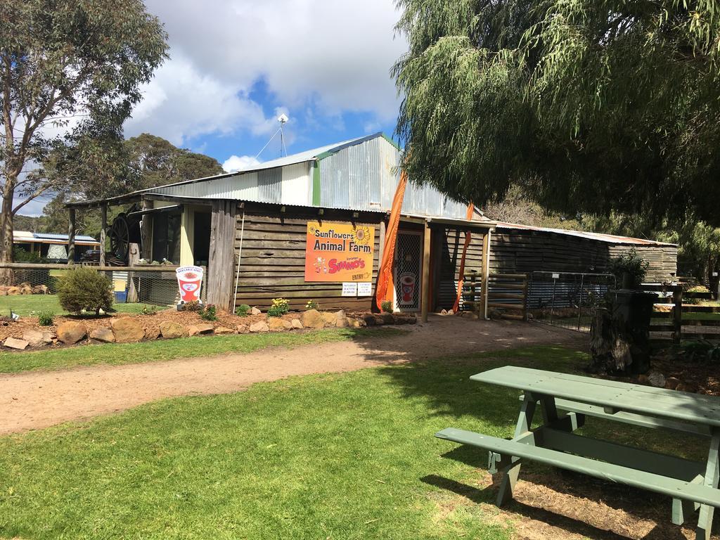 Sunflowers Animal Farm & Farmstay Margaret River Bagian luar foto